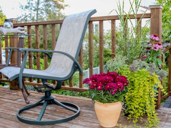 Containers of mixed perennials offer colour on a deck. Photo: Jodi DeLong