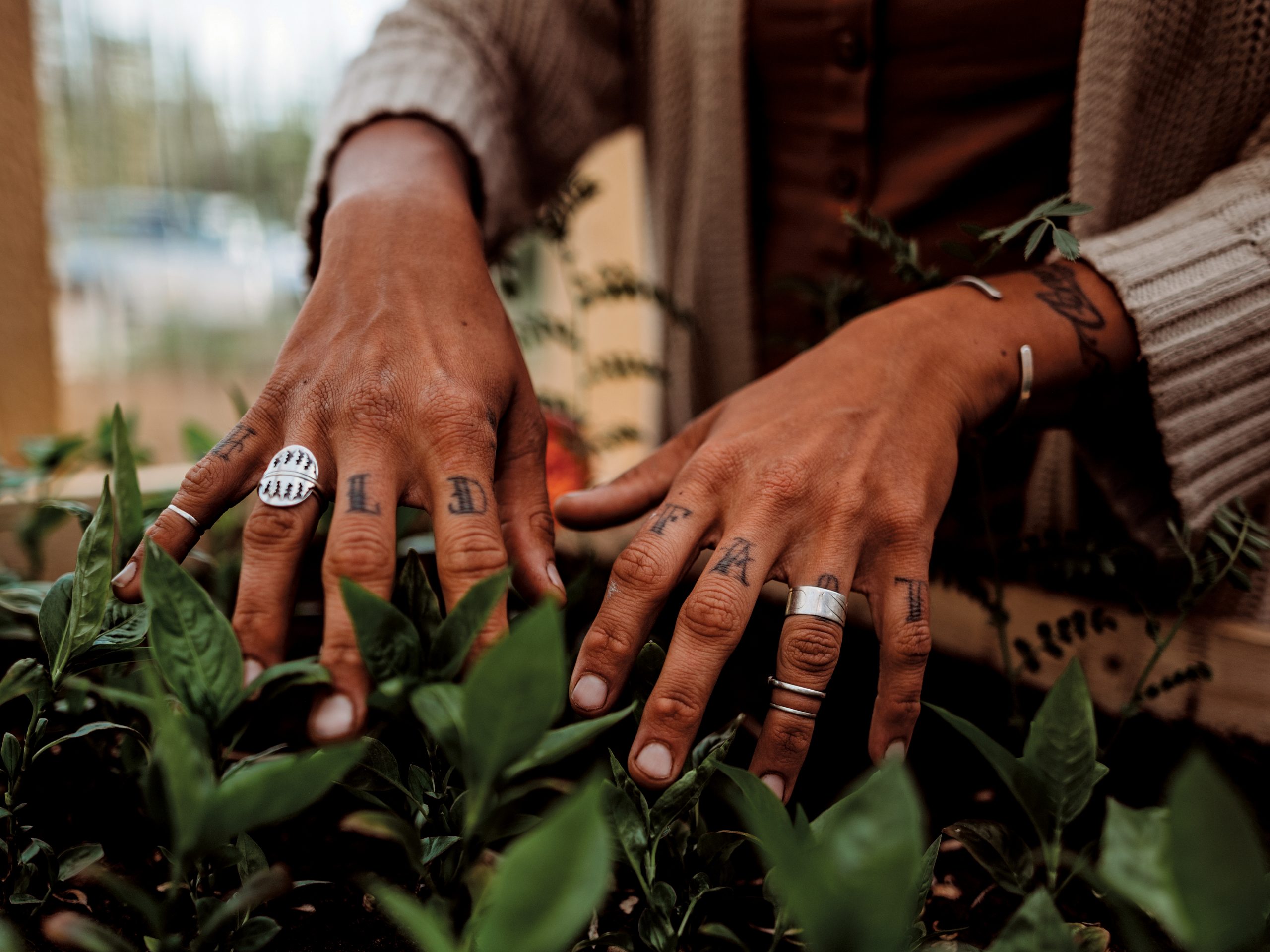 Staying connected to the land. Megan  and her partner are building a greenhouse so they can keep their hands connected to the earth in  all seasons. Photo: Kirsten Pope